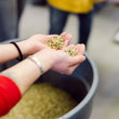 Load image into Gallery viewer, Roastery Tour - Friday, Sept 12 at 9:30AM