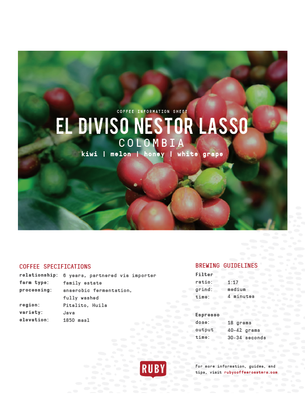 ✨ Colombia El Diviso Nestor Lasso ✨