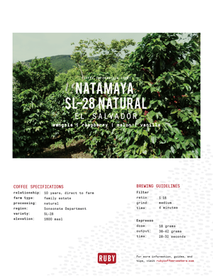 El Salvador Natamaya SL-28 Natural