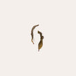 Load image into Gallery viewer, Spirit Honey Orchid Loose Leaf Tea
