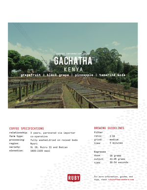 Kenya Gachatha