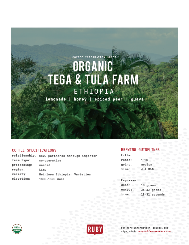 Organic Ethiopia Tega & Tula Farm