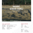 Load image into Gallery viewer, Organic Guatemala Genaro Juarez
