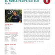 Cargar imagen en el visor de la galería, Peru El Roble Felipe Estela
